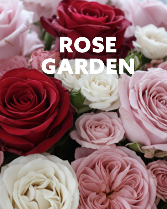 Rose Garden